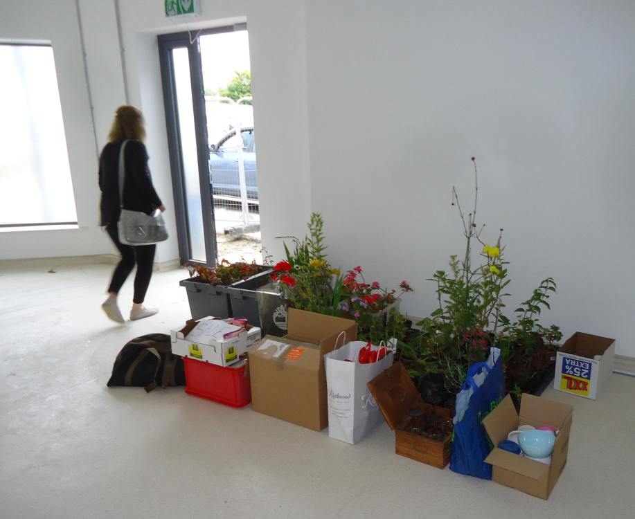 ../Images/64th Bunclody Horticultural Show 2015 - 7.jpg